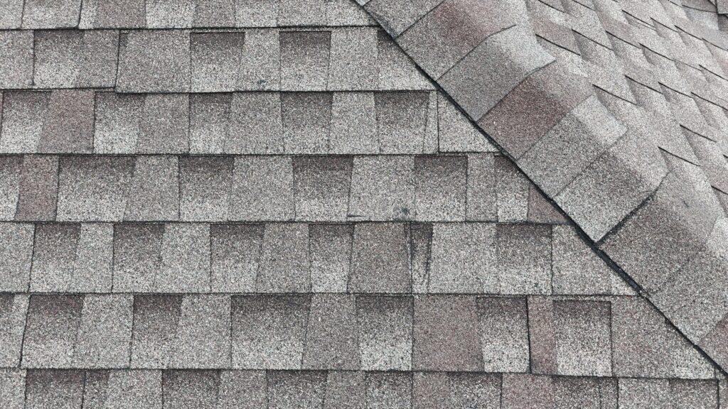 Hail Damage to shingle roof from April 18th hail storm in Ranch at Brushy Creek neighborhood